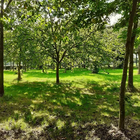 招待所 L Hirondelle